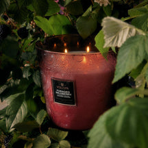 VOLUSPA Foraged WiIldberry 250hr/3.5kg Hearth Candle