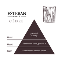 Esteban Cèdre Candle