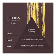 Esteban Cèdre Decorative Diffuser