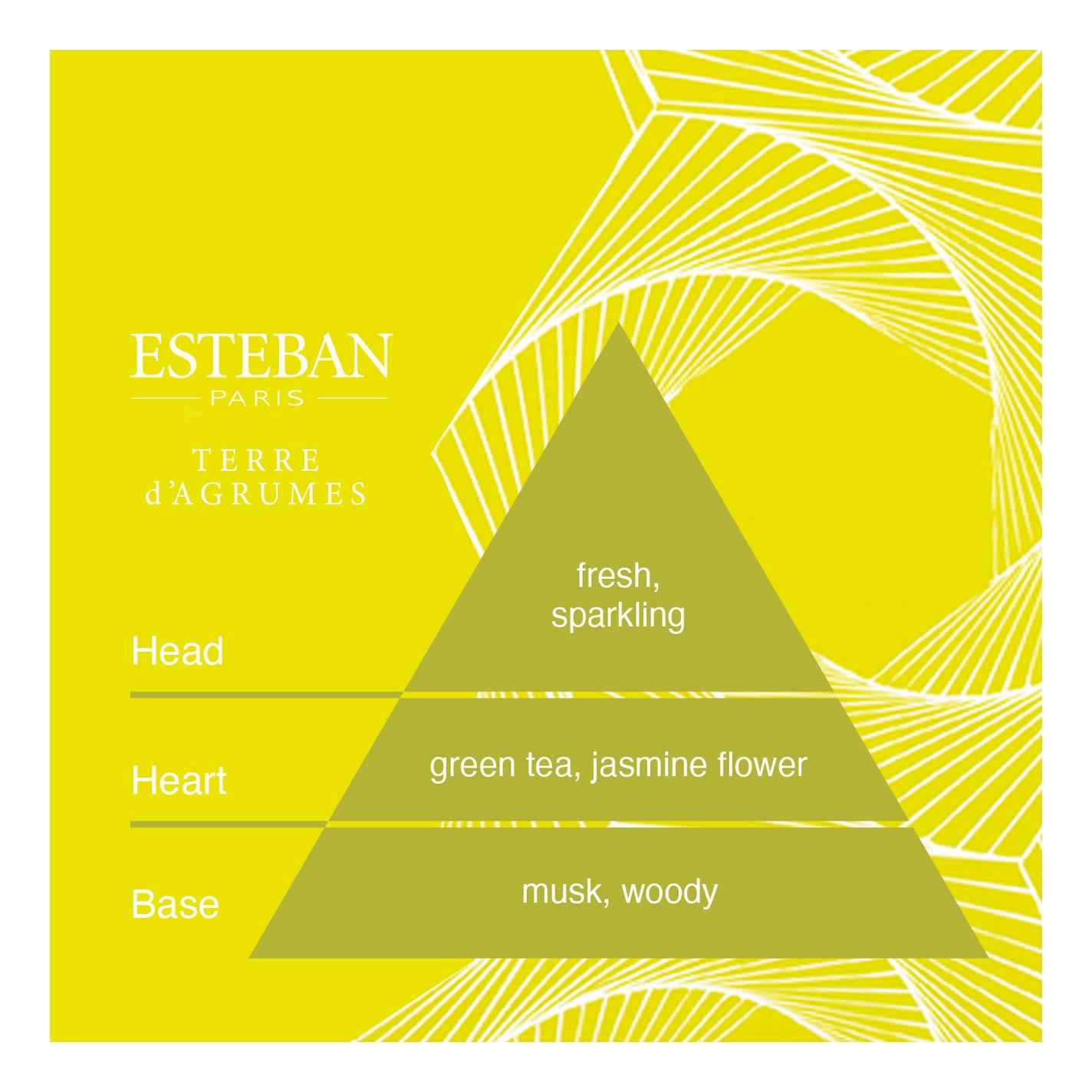 Esteban Terre d’Agrumes Bamboo Incense