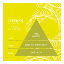 Esteban Terre d’Agrumes Japanese Incense