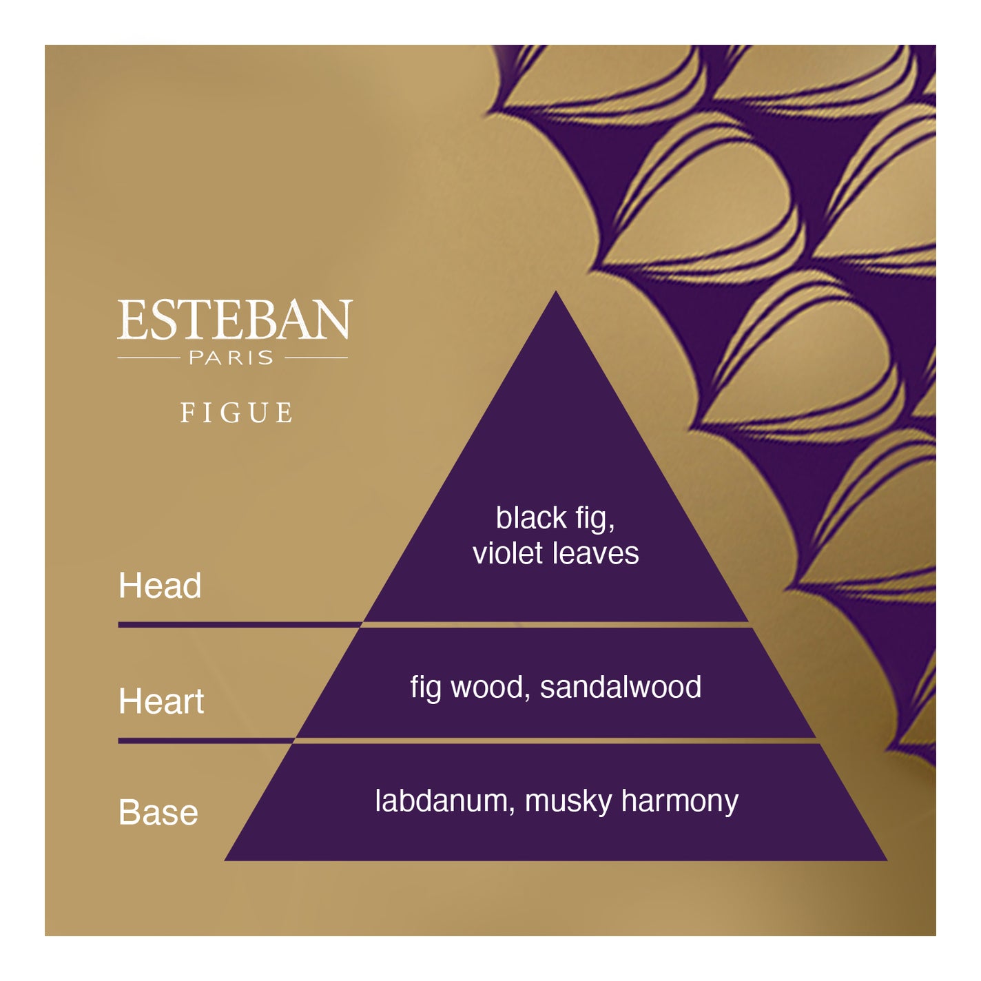 Esteban Fig Room Spray - 75ml