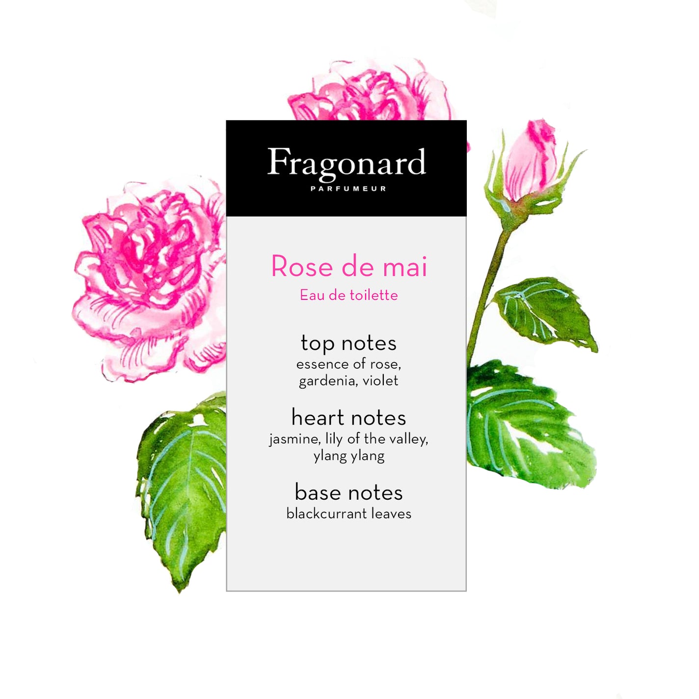 Fragonard Rose de Mai Eau de Toilette