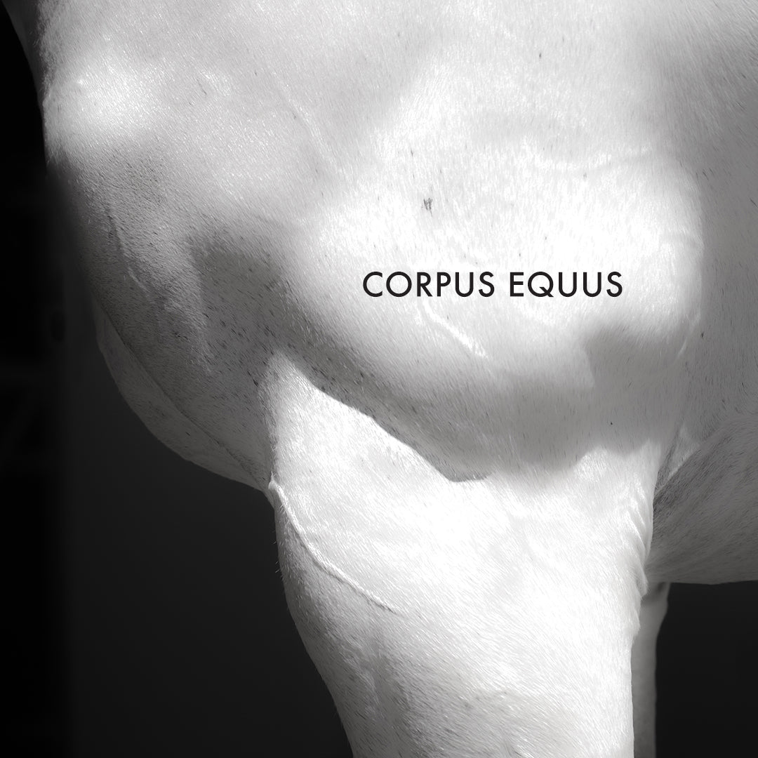 Naomi Goodsir Corpus Equus Eau de Parfum