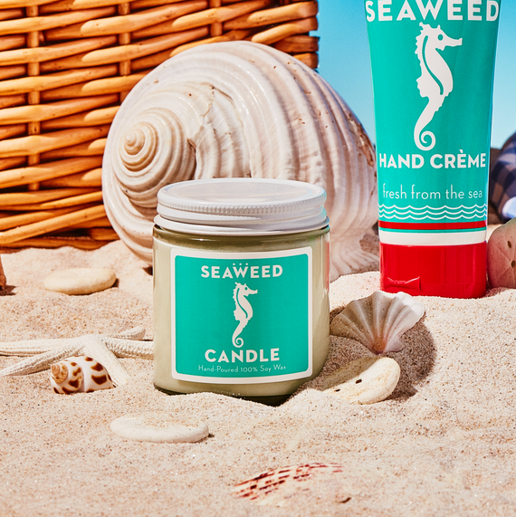 Kalastyle Swedish Dream Seaweed Cutie Candle