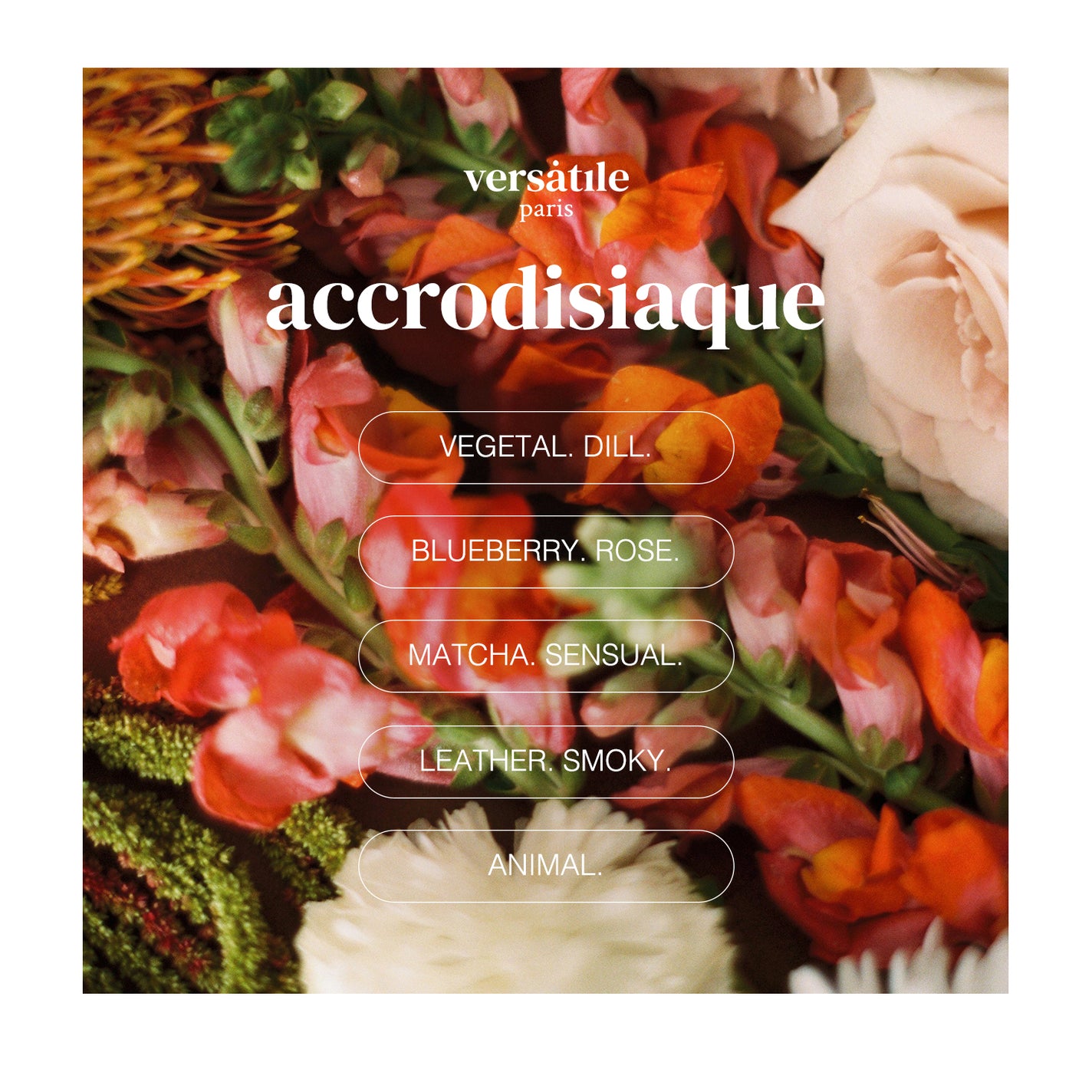 VERSATILE Accrodisiaque Roll-On Extrait de Parfum