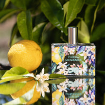 Sample Vial - Fragonard Fleur de Citronnier Eau de Toilette