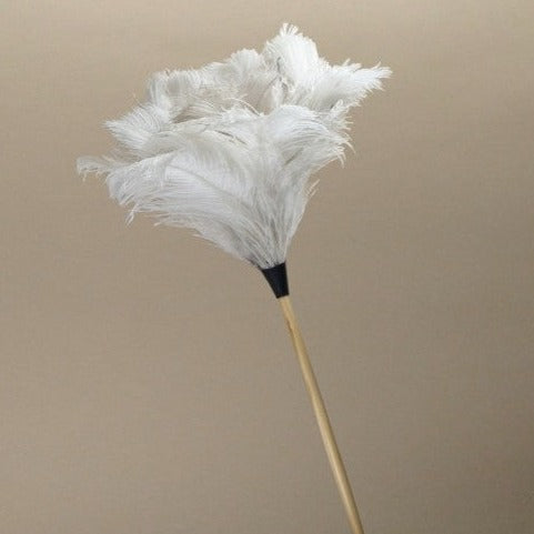 Buy ostrich feather best sale duster