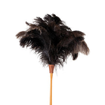 Ostrich Feather at Rs 90/piece, Feather in Chennai