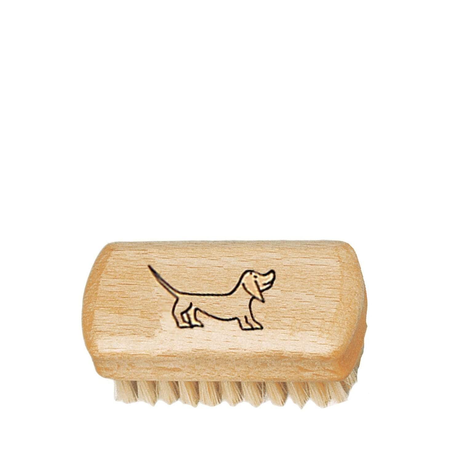 Dachshund brush shop