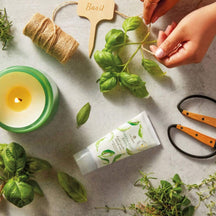 Thymes Fresh Cut Basil Hard Working Hand Creme